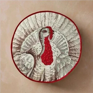 NWT 16" Round Pillow Fall Turkey - John Derian for Target